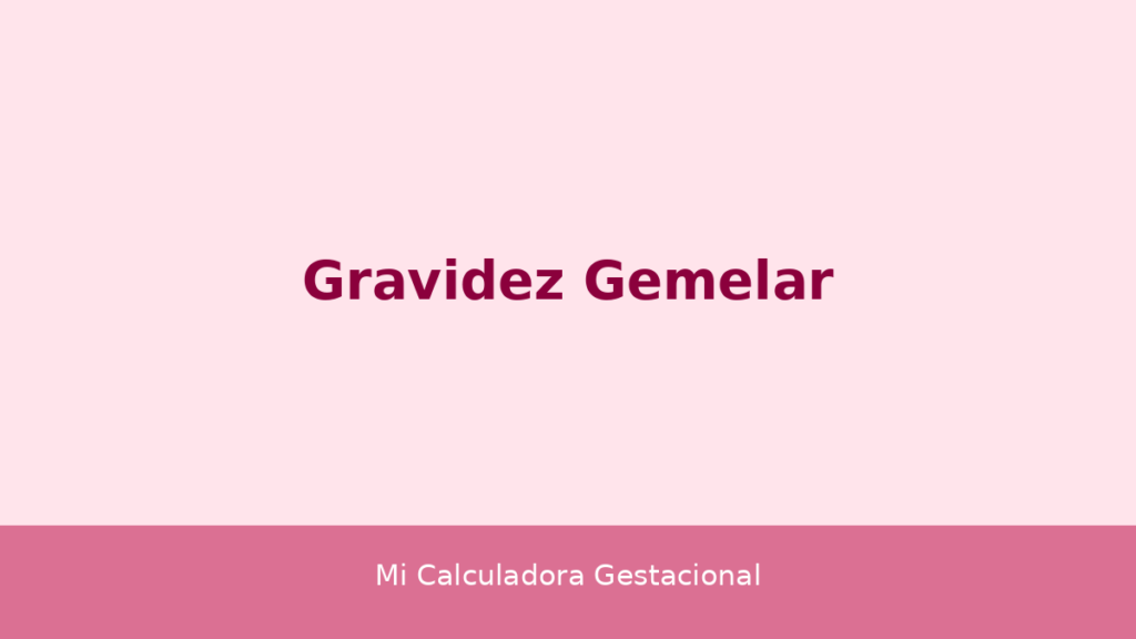 Gravidez gemelar - acompanhamento pré-natal