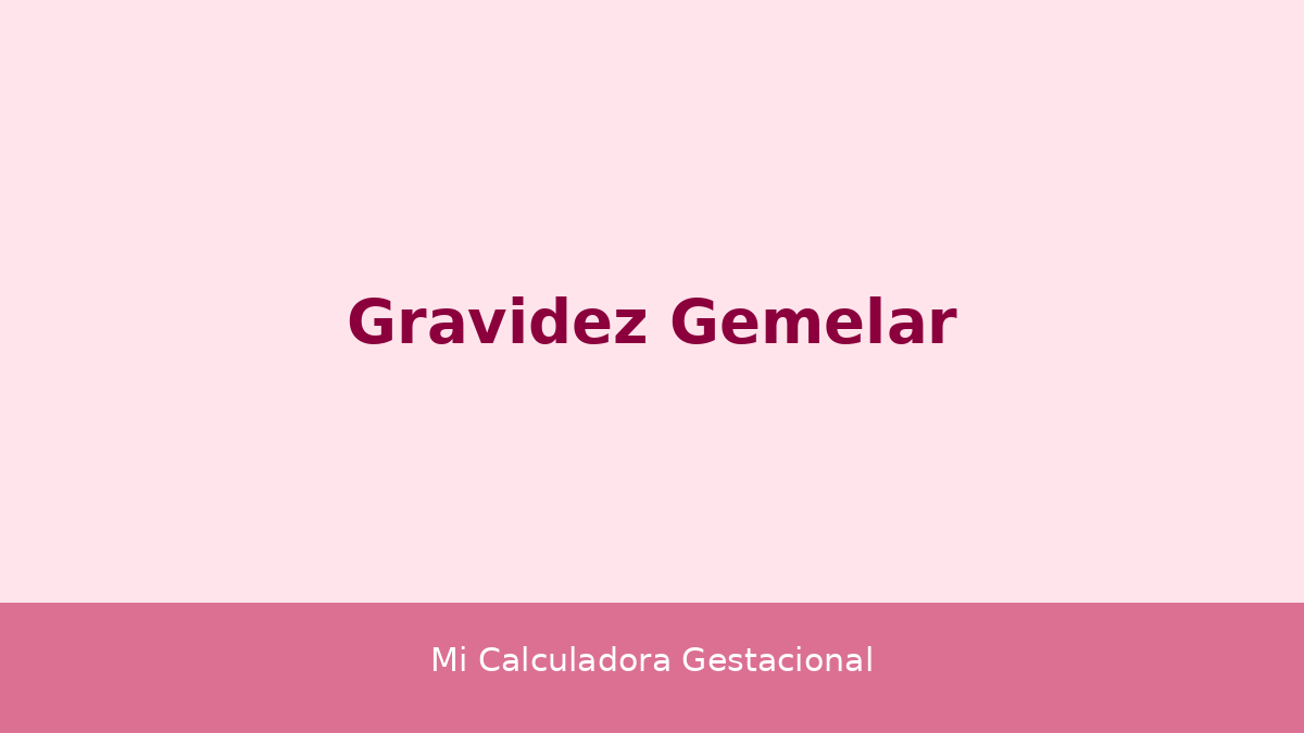 Gravidez gemelar - acompanhamento pré-natal