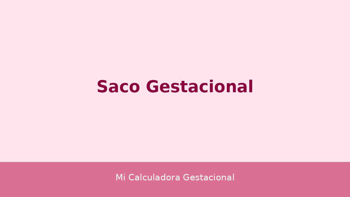 Saco gestacional no ultrassom: como o médico identifica a estrutura no início da gravidez