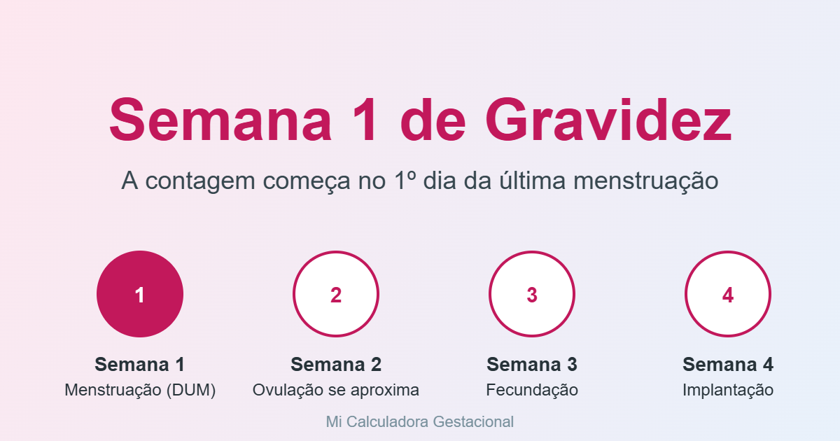 Linha do tempo da gravidez: acompanhe a semana 10 de gravidez e as semanas anteriores