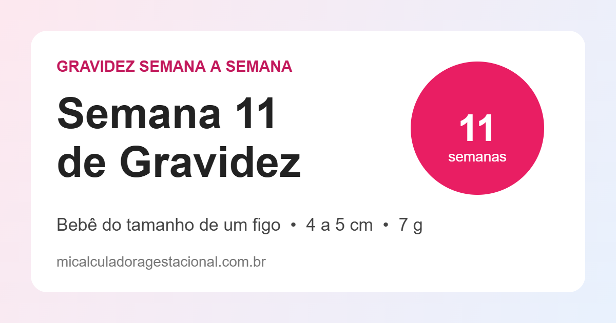 Semana 11 de gravidez: bebê do tamanho de um figo, com 4 a 5 cm e cerca de 7 g