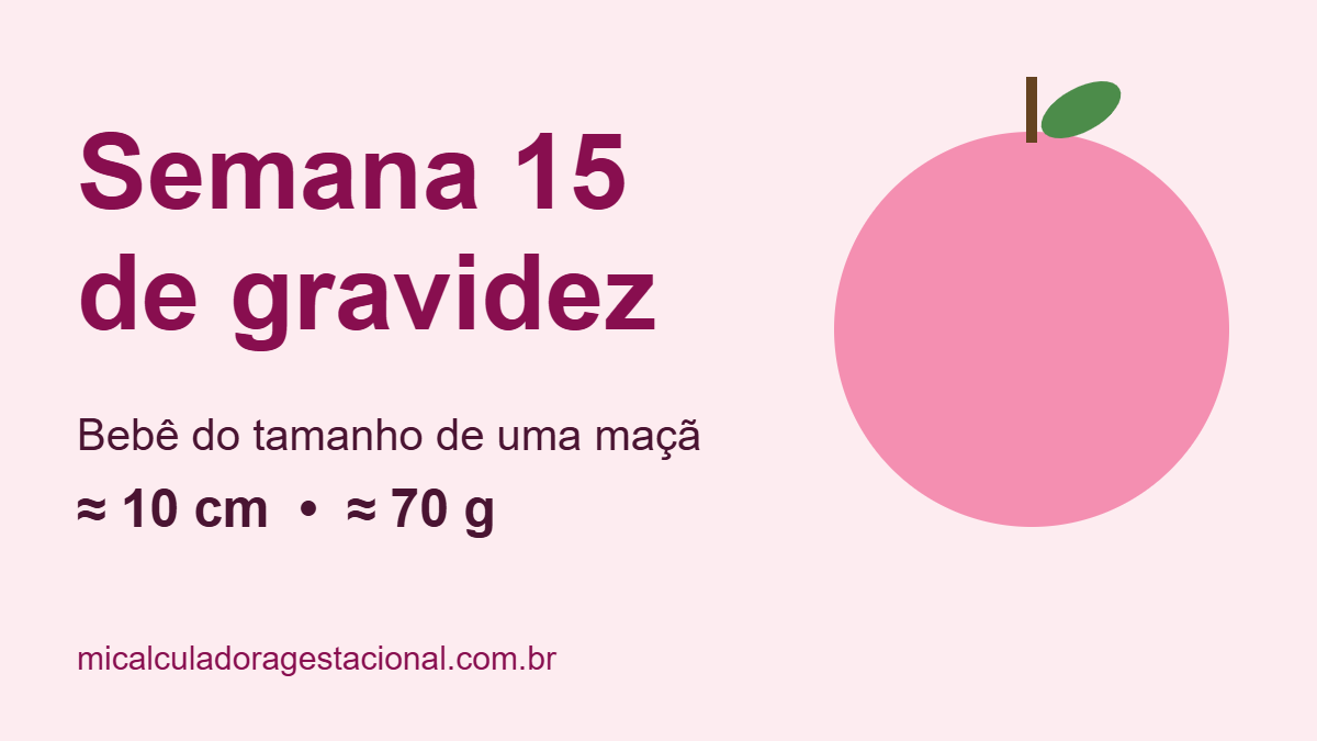 Semana 15 de gravidez: bebê do tamanho de uma maçã, com cerca de 10 cm e 70 g