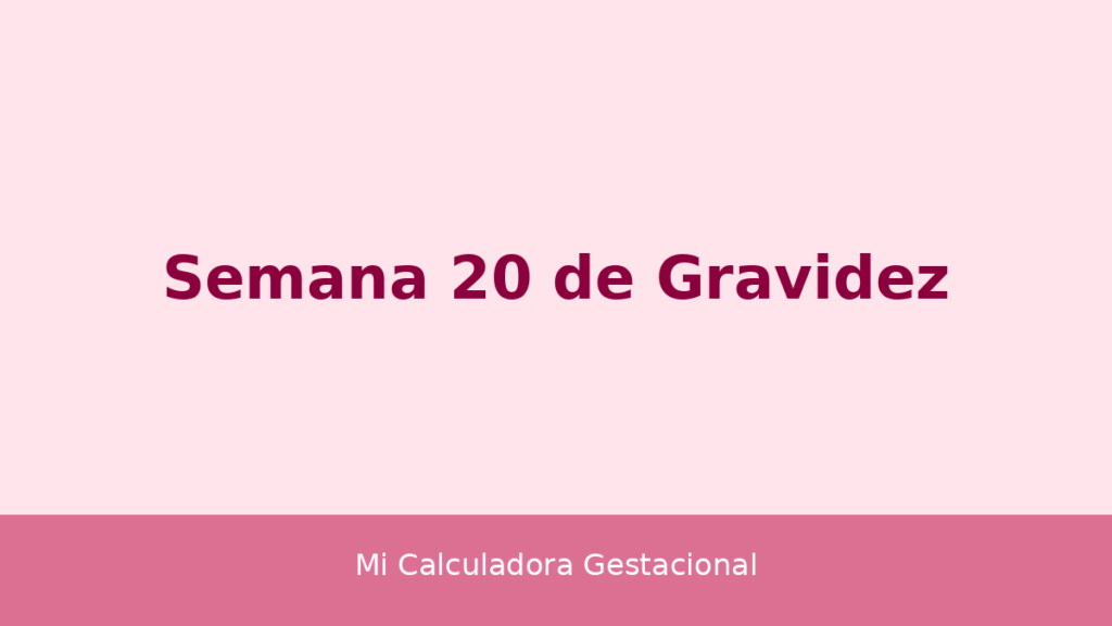 Semana 20 de gravidez: desenvolvimento do bebê e mudanças no corpo da gestante